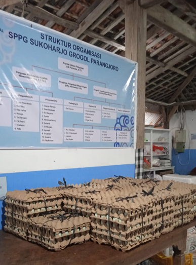 Koperasi Pertiwi Hijau Sejahtera Hubungkan Peternak Lokal Dengan SPPG di Soloraya